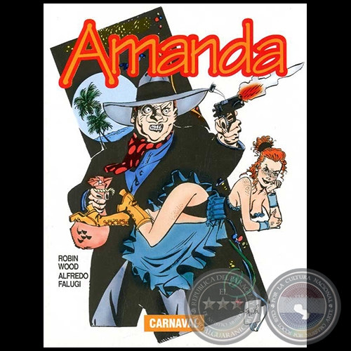 AMANDA N° 13 - CARNAVAL - Guion: ROBIN WOOD - Año 1993 